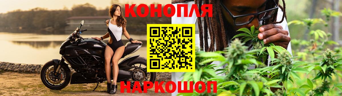 Бошки Шишки индика  Бошки Шишки конопля  Вход с VPN  Марихуана Amnesia  Муравленко 